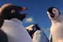 Happy Feet: Rompiendo el hielo / 2