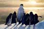 Happy Feet: Rompiendo el hielo / 4