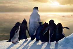 Happy Feet: Rompiendo el hielo