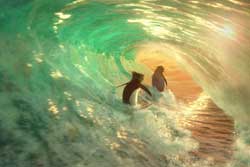 Locos por el surf