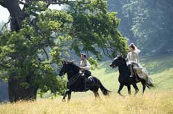 Elizabeth: la Edad de Oro