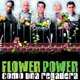 Flower power: Como una regadera cartel reducido