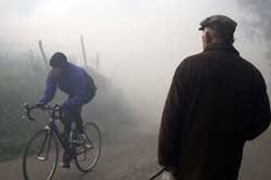 El prado de las estrellas