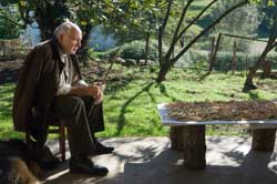 El prado de las estrellas