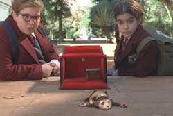 Pérez, el ratoncito de tus sueños