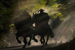 El guía del desfiladero