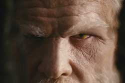 Las crónicas de Spiderwick