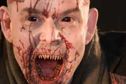 30 días de oscuridad