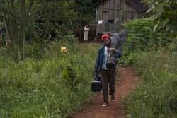 El camino de San Diego