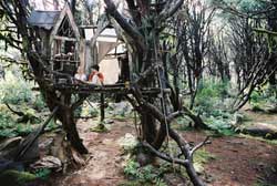 Un puente hacia Terabithia