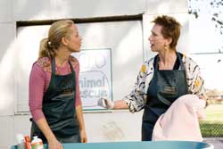 Conociendo a Jane Austen