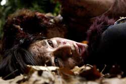 Cabeza de muerte (Fungus Mortalitas)