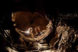 El retorno de los malditos