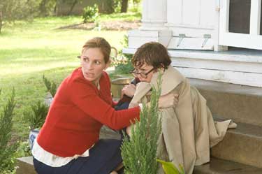 Luciérnagas en el jardín