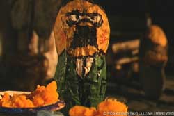 Gritos en el pasillo