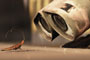 Wall·E / 7