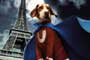 Superdog / 5