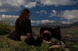 The Palermo Shooting