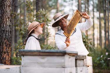 La vida secreta de las abejas