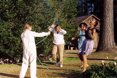 La vida secreta de las abejas