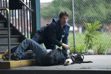 Los amos de Brooklyn