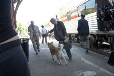 Siempre a tu lado. Hachiko