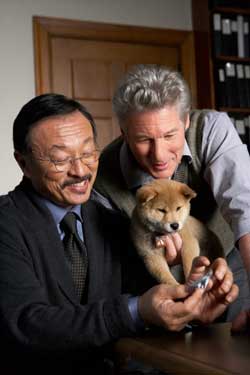 Siempre a tu lado. Hachiko