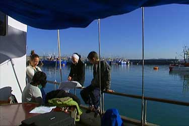 Palabras que vienen del mar