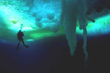 Encuentros en el fin del mundo