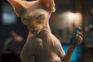 Como perros y gatos: La revancha de Kitty Galore