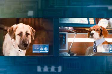 Como perros y gatos: La revancha de Kitty Galore