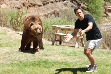 ¿Qué fue de los Morgan?