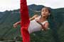 The Karate Kid / 2