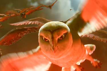 Ga'Hoole, La leyenda de los guardianes