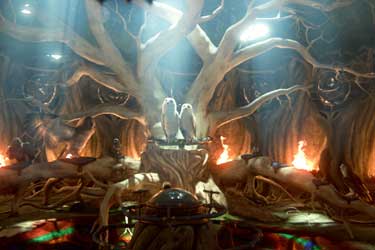 Ga'Hoole, La leyenda de los guardianes