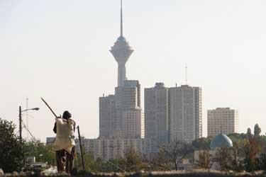 Nadie sabe nada de gatos persas
