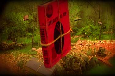 Vivir de pie. Las guerras de Cipriano Mera