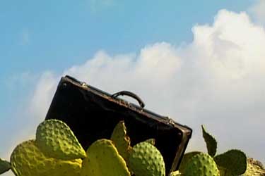 Vivir de pie. Las guerras de Cipriano Mera