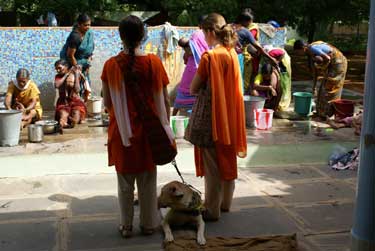 El camino de los sueños