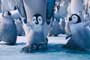 Happy Feet 2 / 3