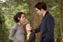 La saga Crepúsculo: Amanecer 2 / 8
