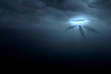 Una aventura extraordinaria