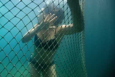 Tiburón 3D, la presa