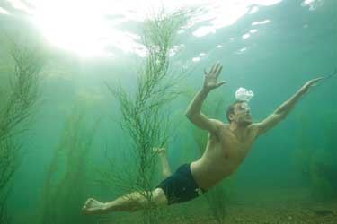 Tiburón 3D, la presa