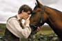 War Horse / 1