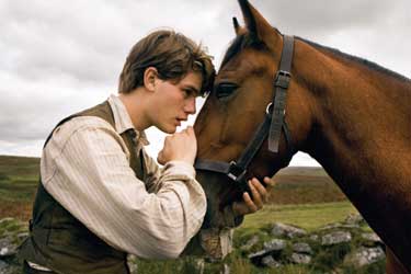 War Horse