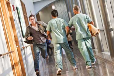 Todos los días de mi vida