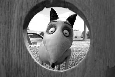 Frankenweenie