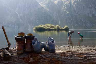 ¿Para qué sirve un oso?