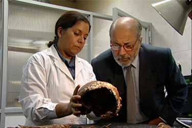 El juez y el general